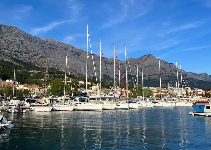 Coric 巴什卡沃达